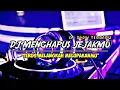 Download Lagu DJ MENGHAPUS JEJAKMU REMIX FULL BASS TERBARU 2021 || Dj Remix Indonesia