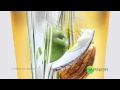 Garnier Oil-In-Cream TVC Hinglish (20 detik)