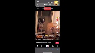 Busted