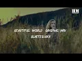 Lagu Blasterjaxx - Beautiful World (Original Mix) [lyric]