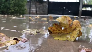 ايات نزول المطر 