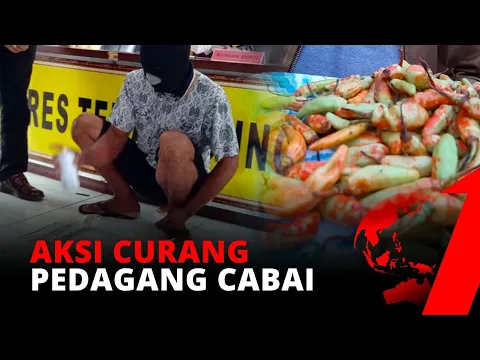 Tergiur Harga Mahal, Seorang Pria Rela Cat Cabai Hijau Jadi Merah | tvOne