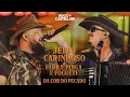 Download Lagu JEITO CARINHOSO +  FARRA, PINGA E FOGUETE + DA COR DO PECADO - @HugoeCastellari  #BemSimprao