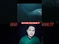 INI IKAN NABI YUNUS ATAU BUKAN..?? #shorts #ikan #megalodon
