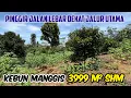 Tanah Kebun Manggis Durian Pinggir Jalan Besar Dekat Jalur Utama Luas 3999 m2 SHM Rp 270 ribu / m2