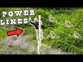 Building FAKE POWER LINES DOVE SEASON PREP 2024