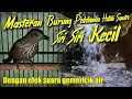 Download Lagu MASTERAN BESETAN RAPAT suara burung SIRI SIRI KECIL
