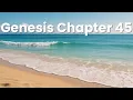 Genesis Chapter 45 - NIV Bible Bible book