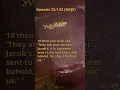 Genesis 32 1-32 NKJV
