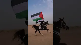 هو انت قد الاحرار ولقد الفلسطينيه بنموت وما نسلم دار   الاحرار يرفعون علم فلسطين    دندنها