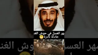 أكبر حادثة وقعت في شهر العسل بالخليج 