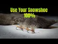 Download Lagu Use 100% of your New Snowshoe Rabbit Foot (No Waste Method)