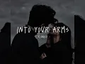 Download Lagu Into your arms ( slowed) no rap version