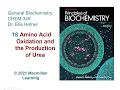 Chapter 18 - Amino Acid Oxidation and the Production of Urea