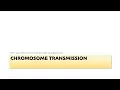 Lecture 5 Inheritance
