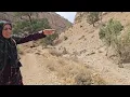 Mother Leopard Risks Everything to Rescue Her Cub from a Giant Python!