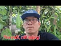 Download Lagu M16TV is live!
