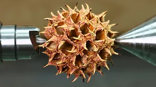 Woodturning Sweet Gum Seed Pods Into Stunning Box