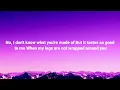 Niall Horan - Tastes So Good (Lyrics )