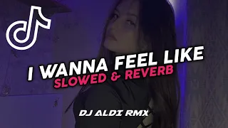 Download DJ I WANNA FEEL LIKE MENGKANE!! ( Slowed \u0026 Reverb ) - Aldi RMX MP3