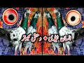 Download Lagu Dub Waly Kabootar 💯 // insan Teddy Kabootar // Wahshi Kabootar // High Flyer Pigeons