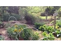 Edible Acres - Who We Are