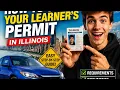 How to get your learner s permit in Illinois