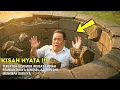 Download Lagu KEJAM‼️JURAGAN TERNAK Kejam Fitnah Pembantu Sendiri,n Jatuh Terjebak Disumur Azab Pedih Menimpanya