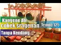Download Lagu kangene ati cokek sragenan tanpa kendang