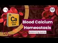 Balancing the bones Blood calcium homeostasis