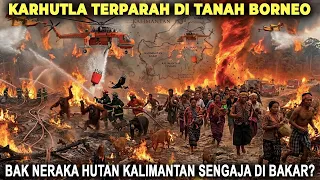 ULAH PT HUTAN KALIMANTAN SENGAJA DI BAKAR? Deretan Karhutla Terparah yg Pernah Terjadi di Kalimantan