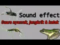 Download Lagu Suara Nyamuk, jangkrik dan katak | Sound effect youtube no copyright
