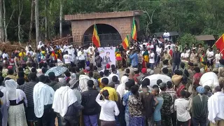 አርቲስት ዱባለ መላክ ስለ ፋኖ ምናለ 