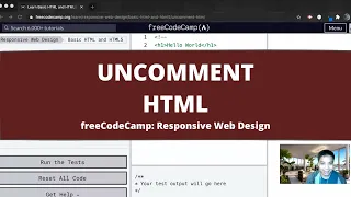 Uncomment HTML Basic HTML and HTML5 freeCodeCamp Tutorial
