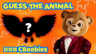 Camping Time! Solve the Sound Mystery 🕵️‍♀️ | Knee High Spies for Kids | CBeebies