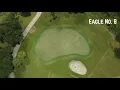 Okeeheelee Green Renovation Project - Eagle No 8