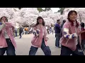 [KPOP IN PUBLIC] BSS (SEVENTEEN) 부석순 (세븐틴) - CBZ (Prime Time)  Dance Cover by Voltage | Seattle