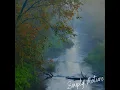 Bird River Ambience