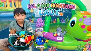Gavin Bermain Air, Main Trampolin, Belajar Fisika Benda Terapung dan Belajar Hewan Air