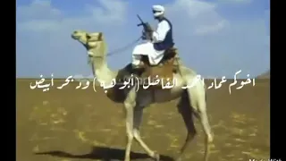 بخيت العطوي ود فضل المولي ٢ 