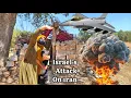Download Lagu Israel's attack on Iran: Are the homeless mother and her child safe?