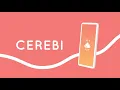 Cerebi App Demo
