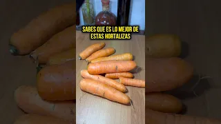 ¡NUNCA MAS No tires tus cáscaras de zanahoria! 🥕 Té digestivo y antioxidante de zanahoria.
