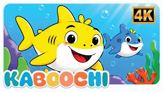 Baby Shark Dance Song | Baby Shark Doo Doo Doo | Kids Songs & Nursery Rhymes |