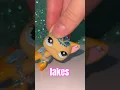 Lps shorthair collection