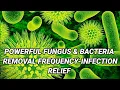 🎧POWERFUL FUNGUS \u0026 BACTERIA REMOVAL FREQUENCY - Infection Relief Frequency Binaural Beats
