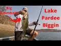 Throwing BIG Swimbaits on Lake Pardee for BIG Bass I Caught A GROWN ONE on a S-Waver Whippersnapper