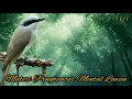Download Lagu JINGJING PETULAK - Masteran Paling Di Cari Kicau Mania. Materi Penghancur Mental Lawan.