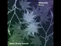 Being (Midori Hirano Rework) - Balladeste & Midori Hirano