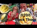 Download Lagu Durian Black Thorn Local food 🇲🇾 Malaysia Kuala Lumpur